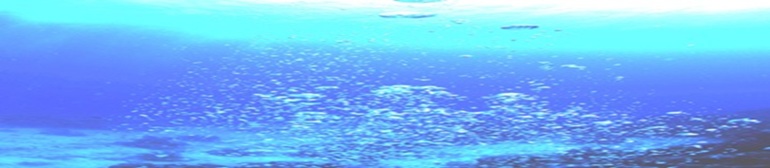 風景画像