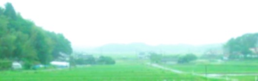風景画像